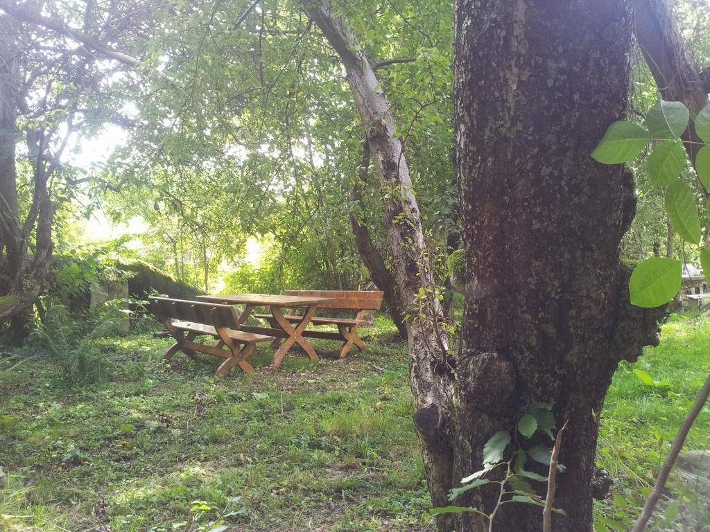 Pensiunea Elena Vistisoara Pokoj fotografie