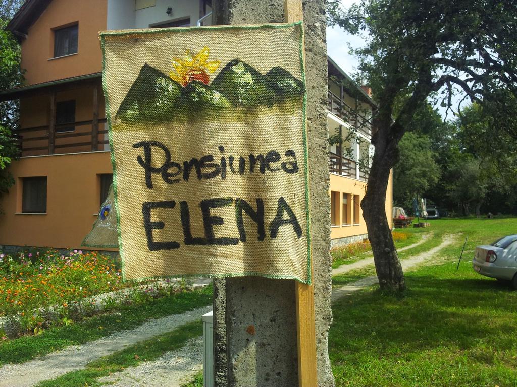 Pensiunea Elena Vistisoara Pokoj fotografie