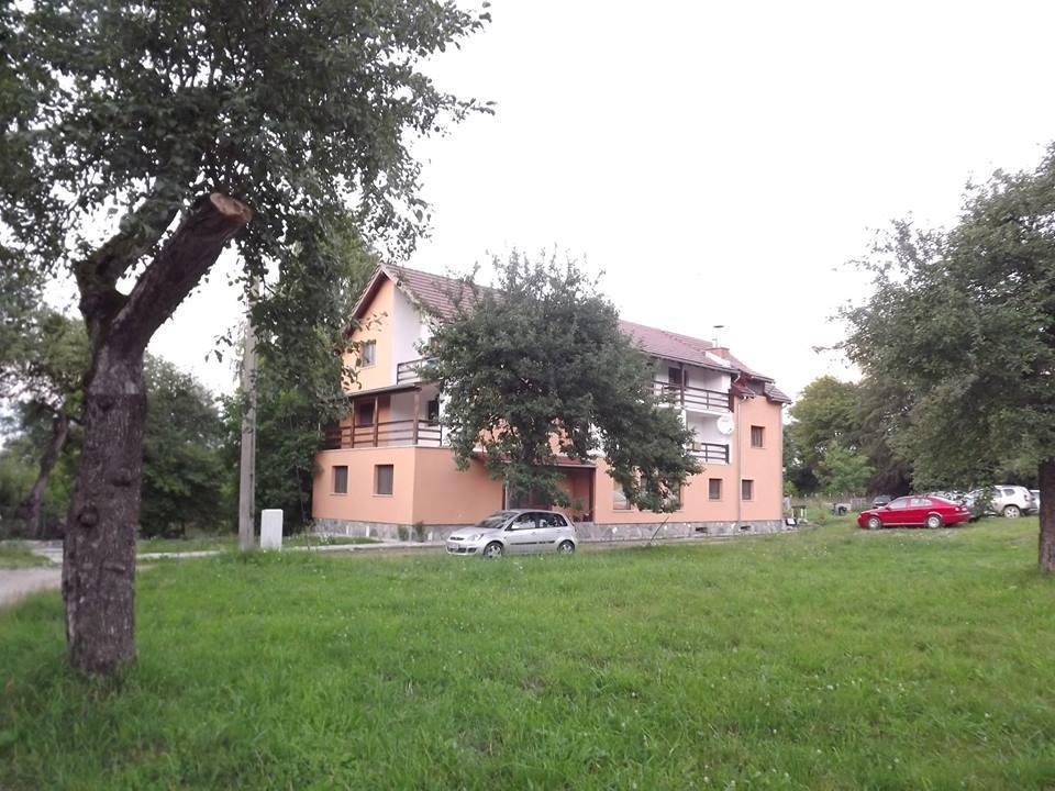 Pensiunea Elena Vistisoara Exteriér fotografie