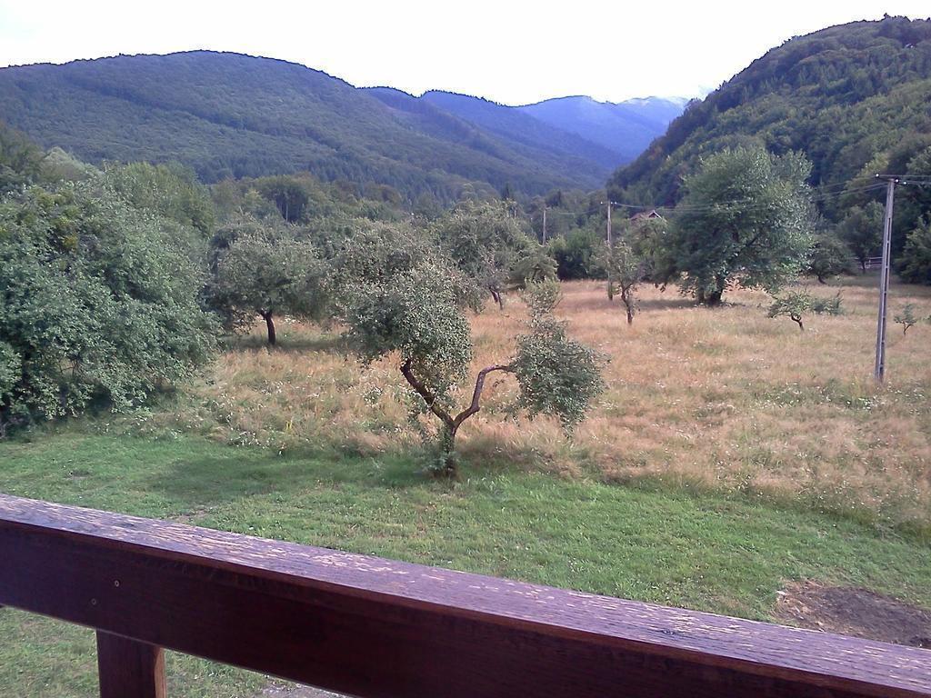 Pensiunea Elena Vistisoara Exteriér fotografie
