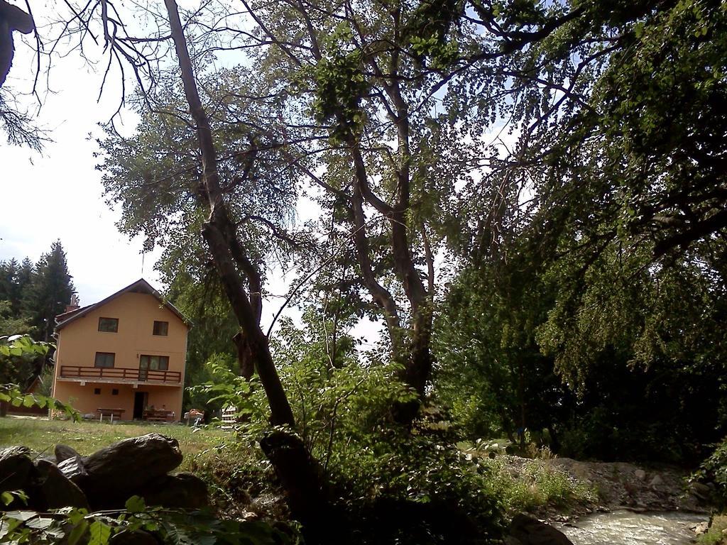 Pensiunea Elena Vistisoara Exteriér fotografie
