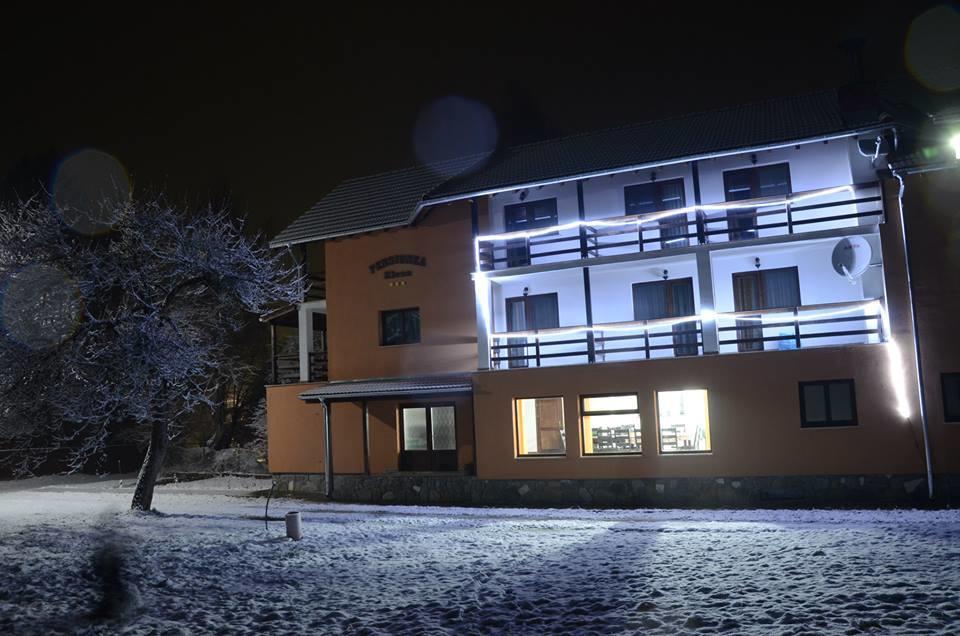 Pensiunea Elena Vistisoara Exteriér fotografie