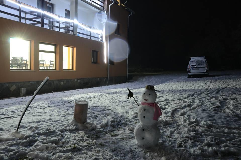 Pensiunea Elena Vistisoara Exteriér fotografie