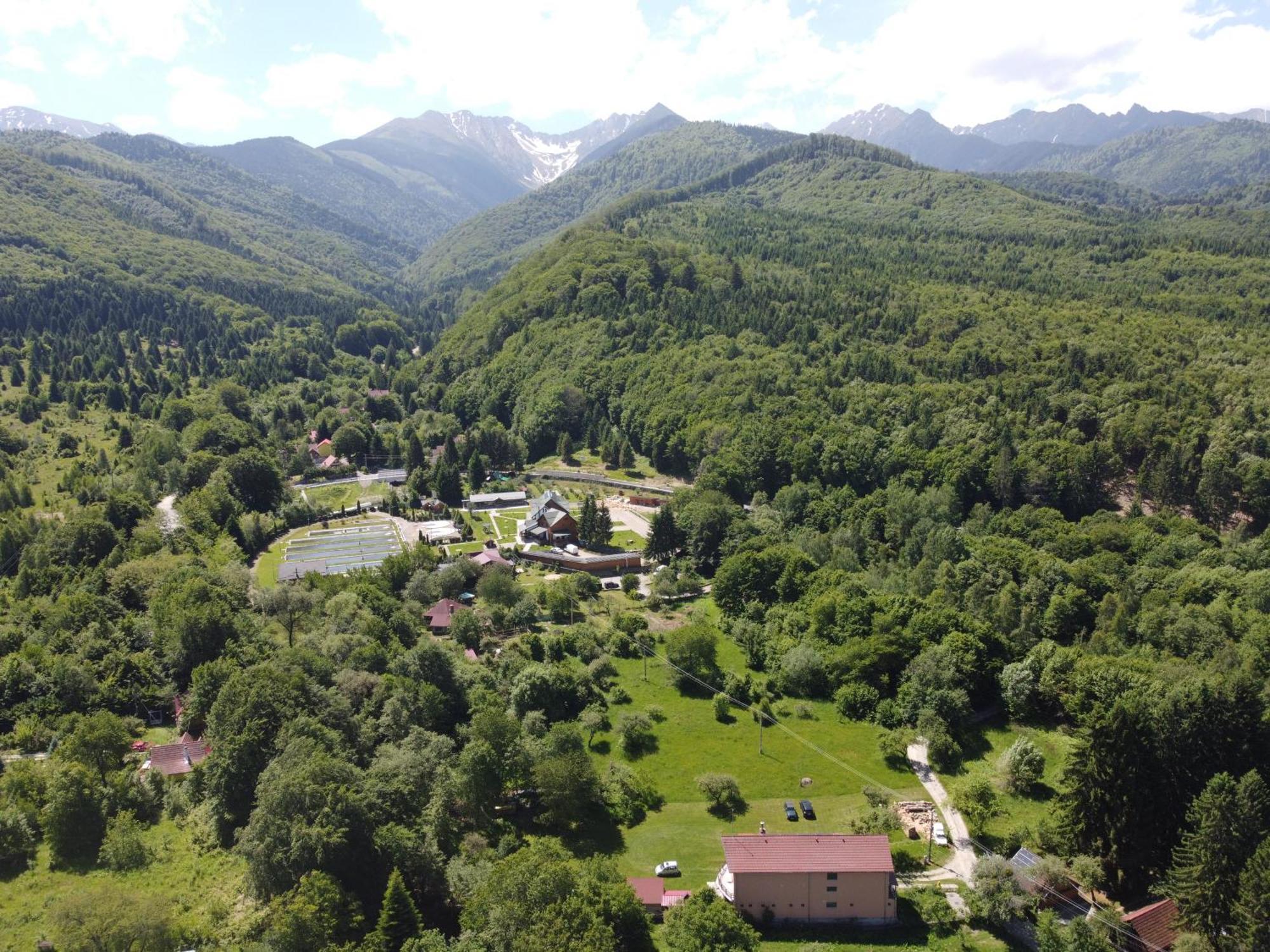 Pensiunea Elena Vistisoara Exteriér fotografie