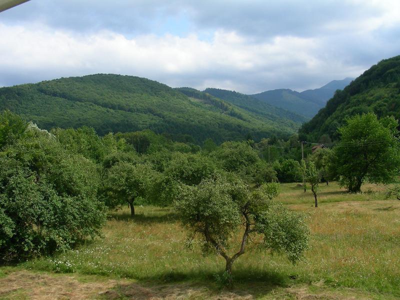 Pensiunea Elena Vistisoara Exteriér fotografie