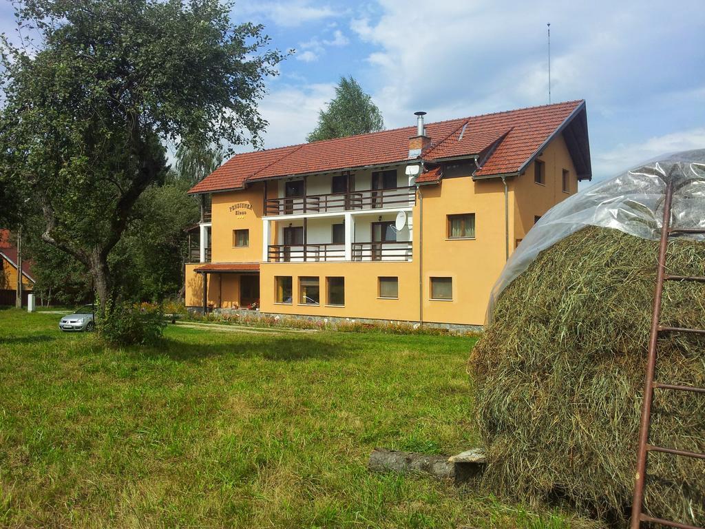 Pensiunea Elena Vistisoara Exteriér fotografie