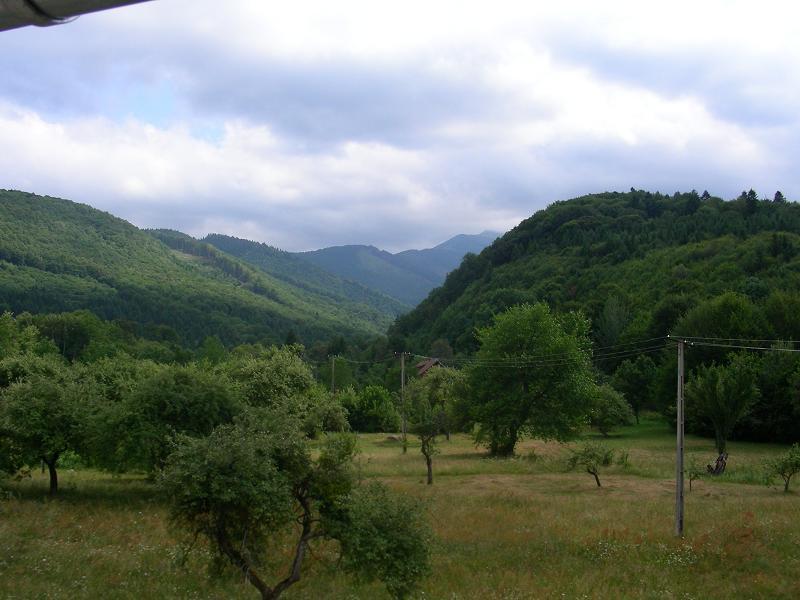 Pensiunea Elena Vistisoara Exteriér fotografie