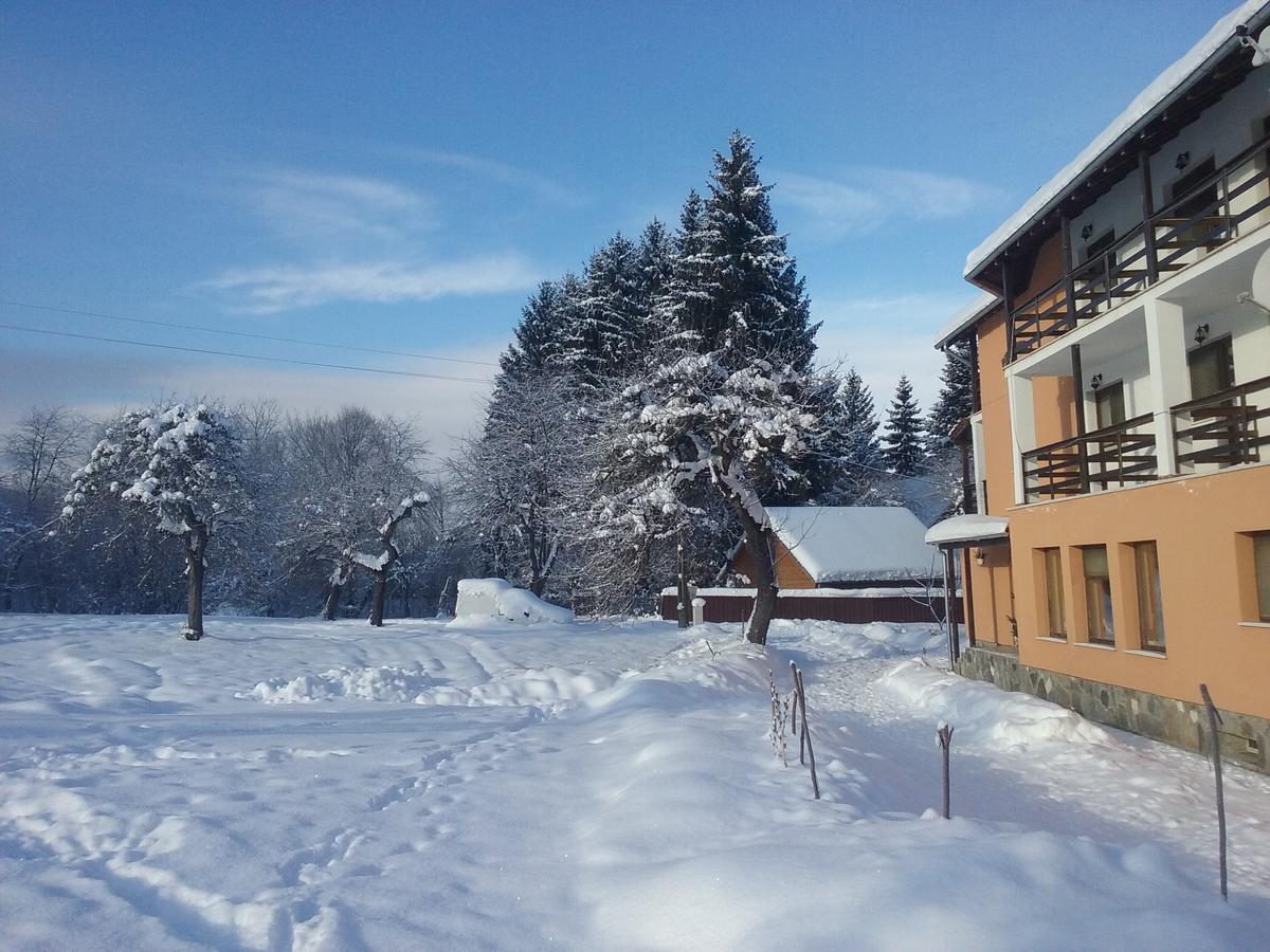Pensiunea Elena Vistisoara Exteriér fotografie