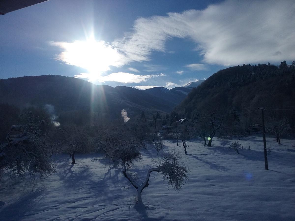 Pensiunea Elena Vistisoara Exteriér fotografie