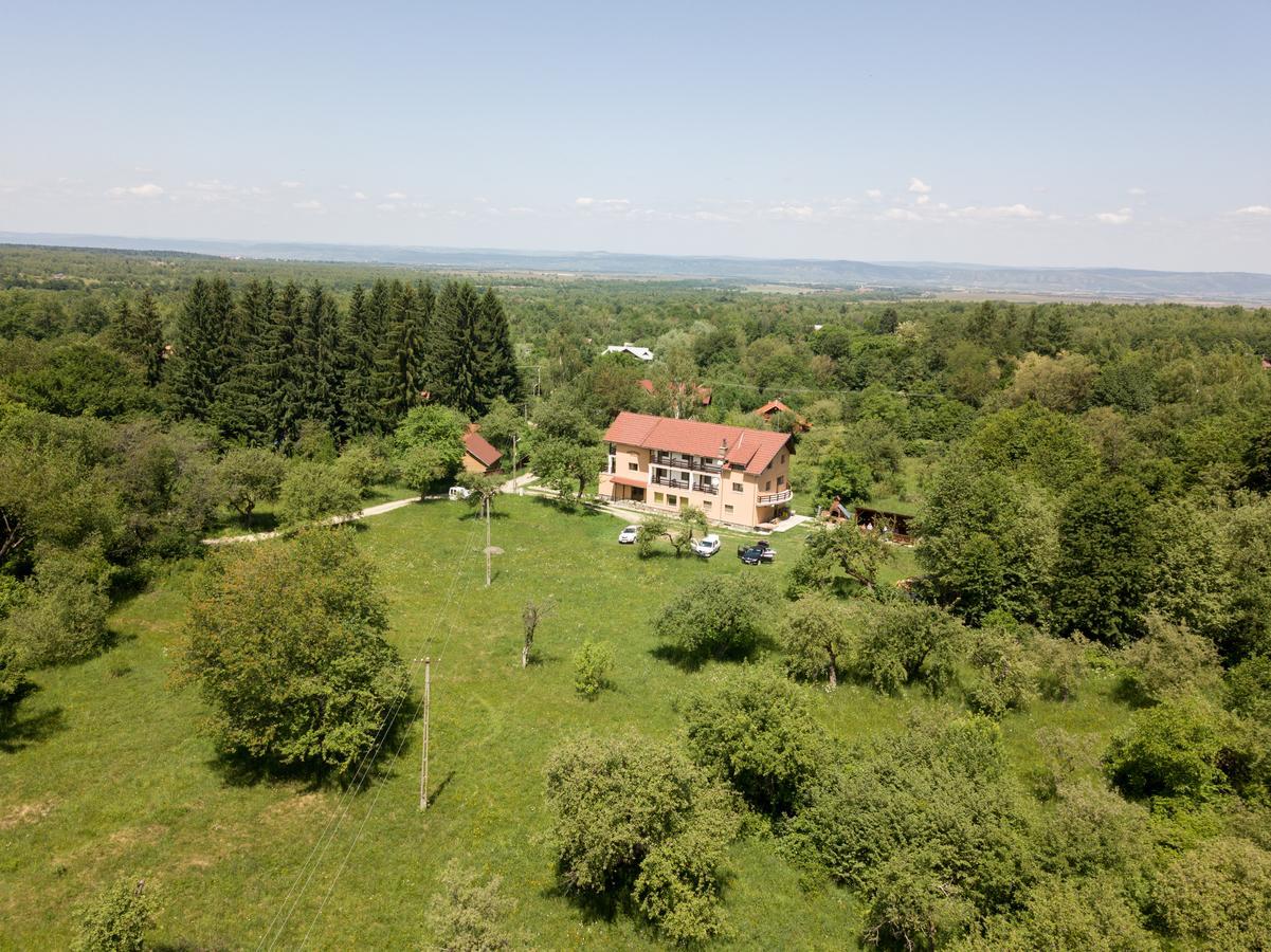 Pensiunea Elena Vistisoara Exteriér fotografie