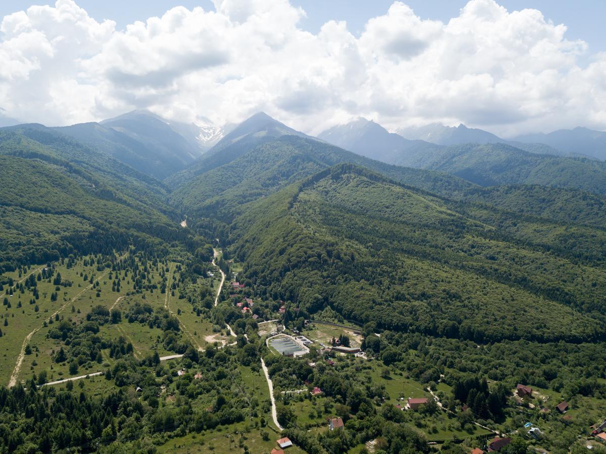Pensiunea Elena Vistisoara Exteriér fotografie