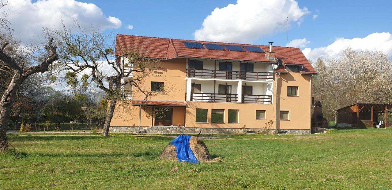 Pensiunea Elena Vistisoara Exteriér fotografie