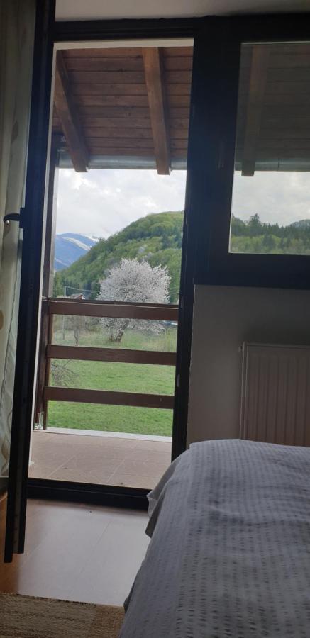 Pensiunea Elena Vistisoara Exteriér fotografie